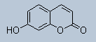 104.gif (402 bytes)