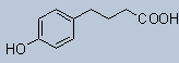107.gif (409 bytes)