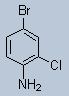 25.gif (363 bytes)
