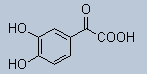 70.gif (473 bytes)